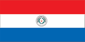 Paraguay Tıbbi Cihaz Pazarı: Genel Bakış