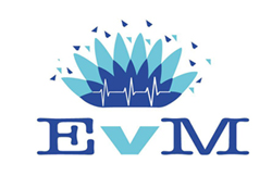 evm